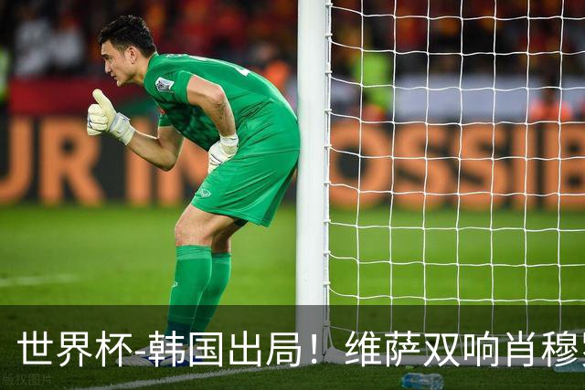 世界杯-韩国出局！维萨双响肖穆罗多夫神仙球 民主刚果3-1乌兹